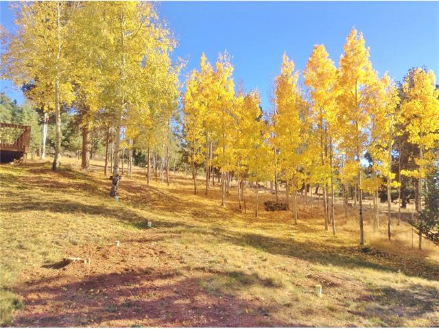 48 Bighorn Cir