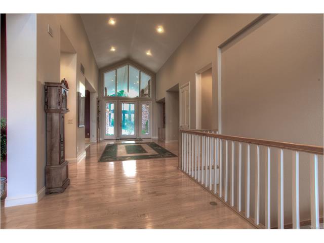 14595 Roller Coaster Rd