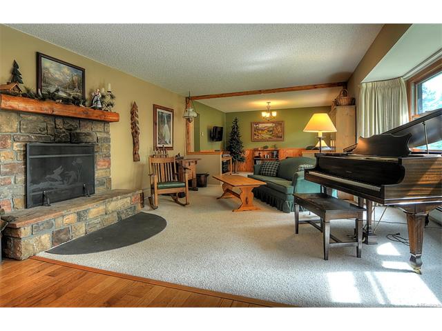 15945 Eagle Ln Buena Vista, CO 81211