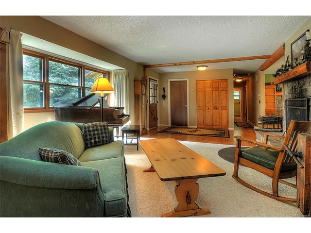 15945 Eagle Ln Buena Vista, CO 81211
