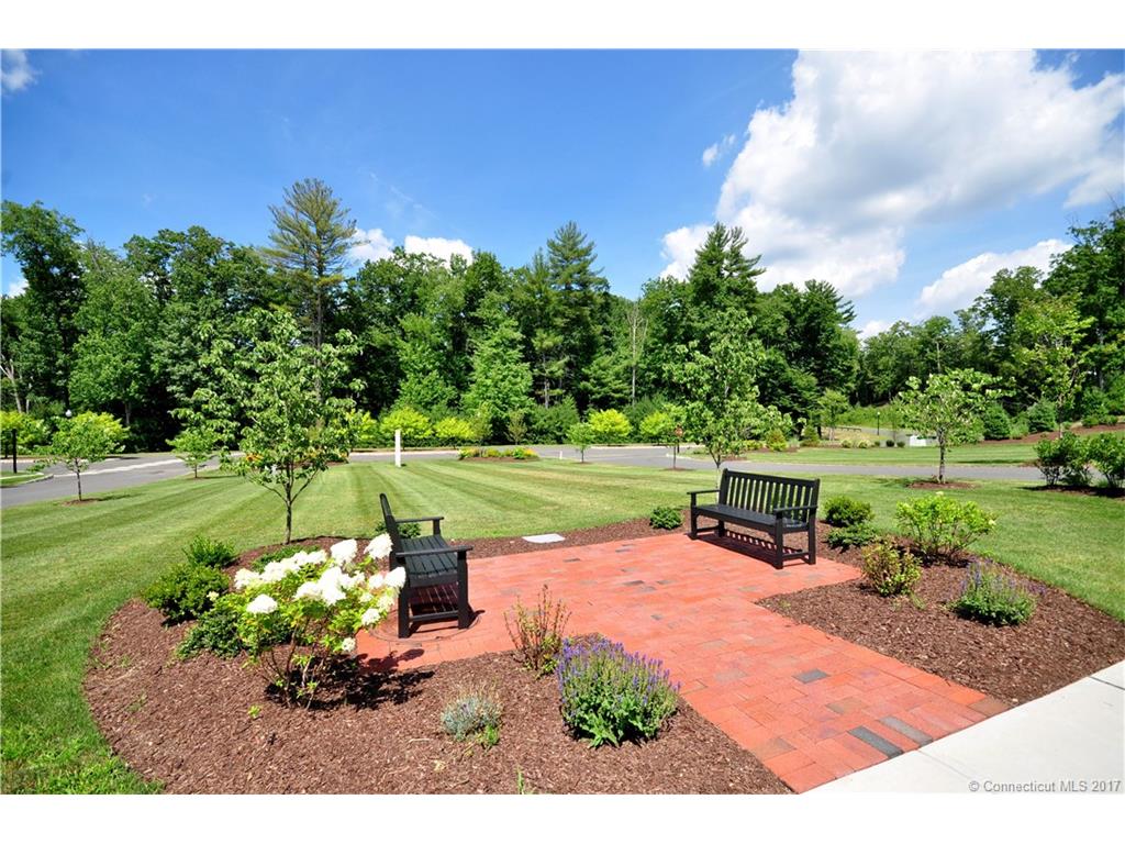 Unit 107 Carson Way