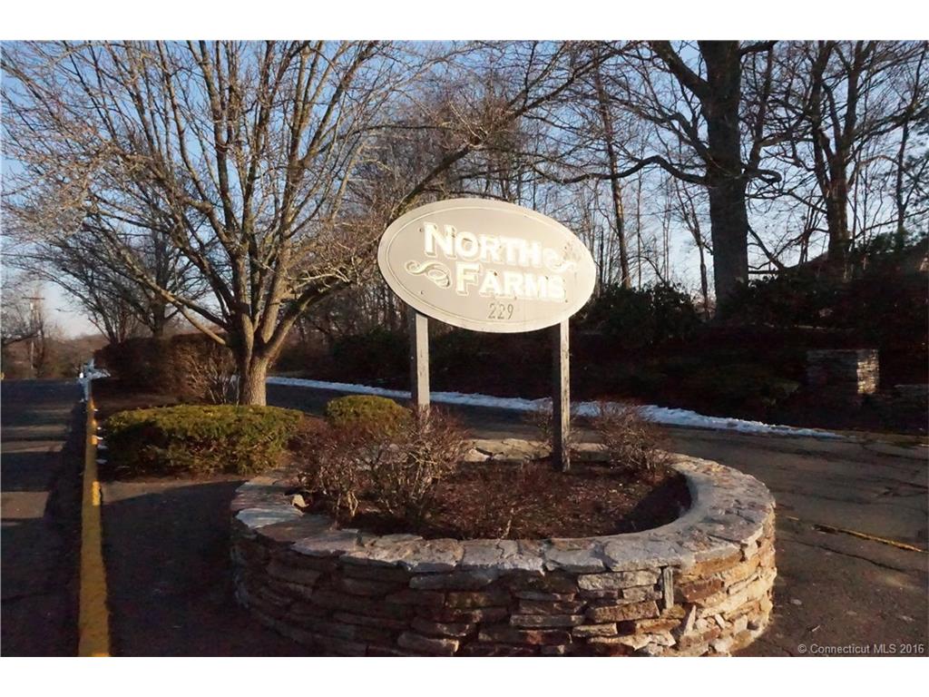229 Branford Rd #248