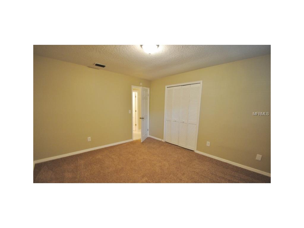 428 Knoll Tree Ln