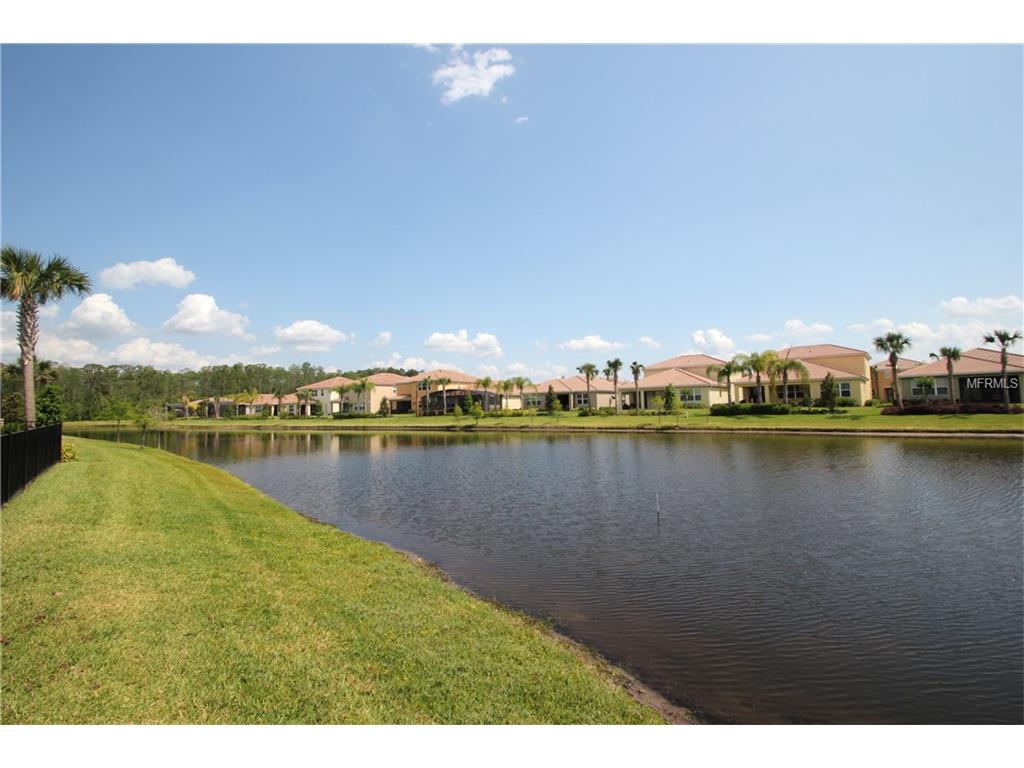12260 Pescara Ln, Orlando FL 32827