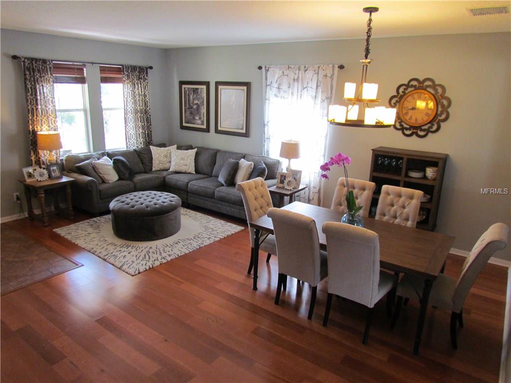 14911 Pellicer Dr