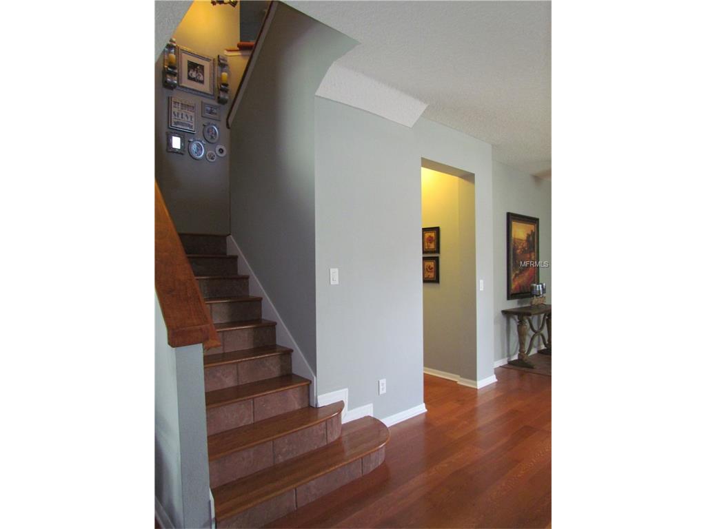 14911 Pellicer Dr