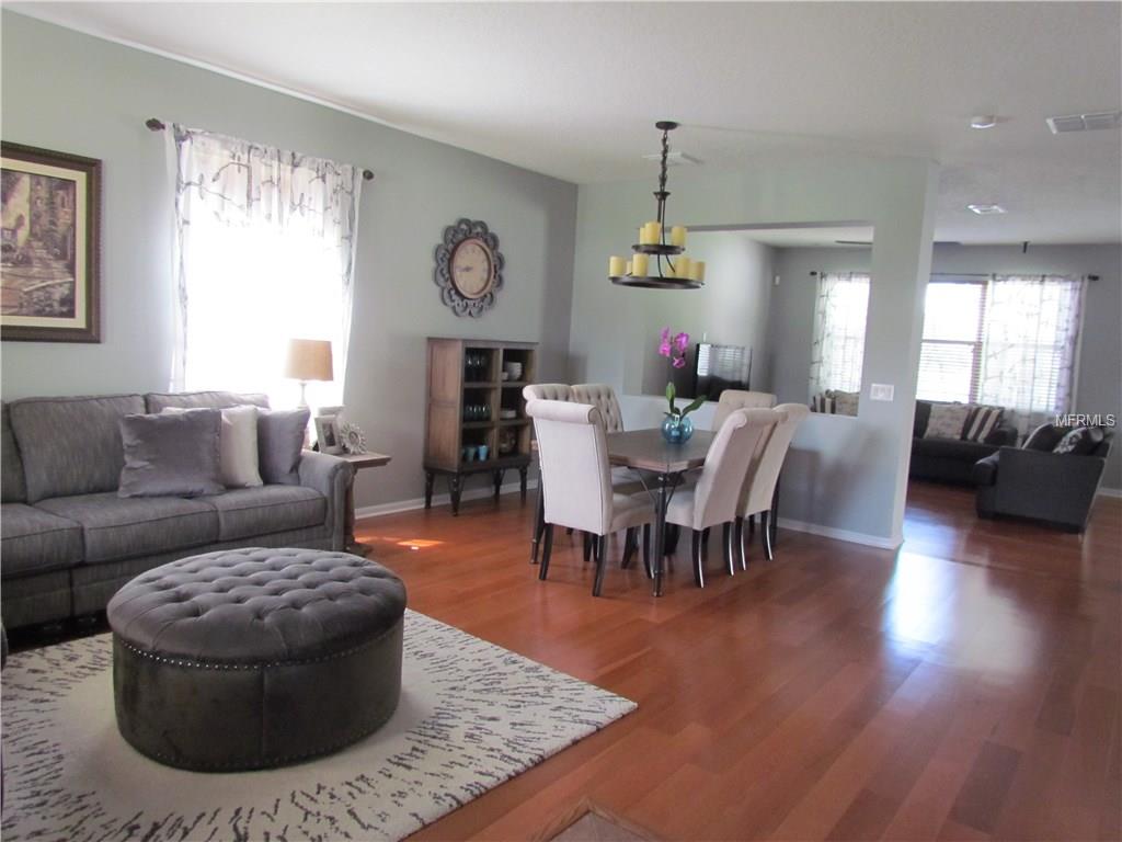 14911 Pellicer Dr