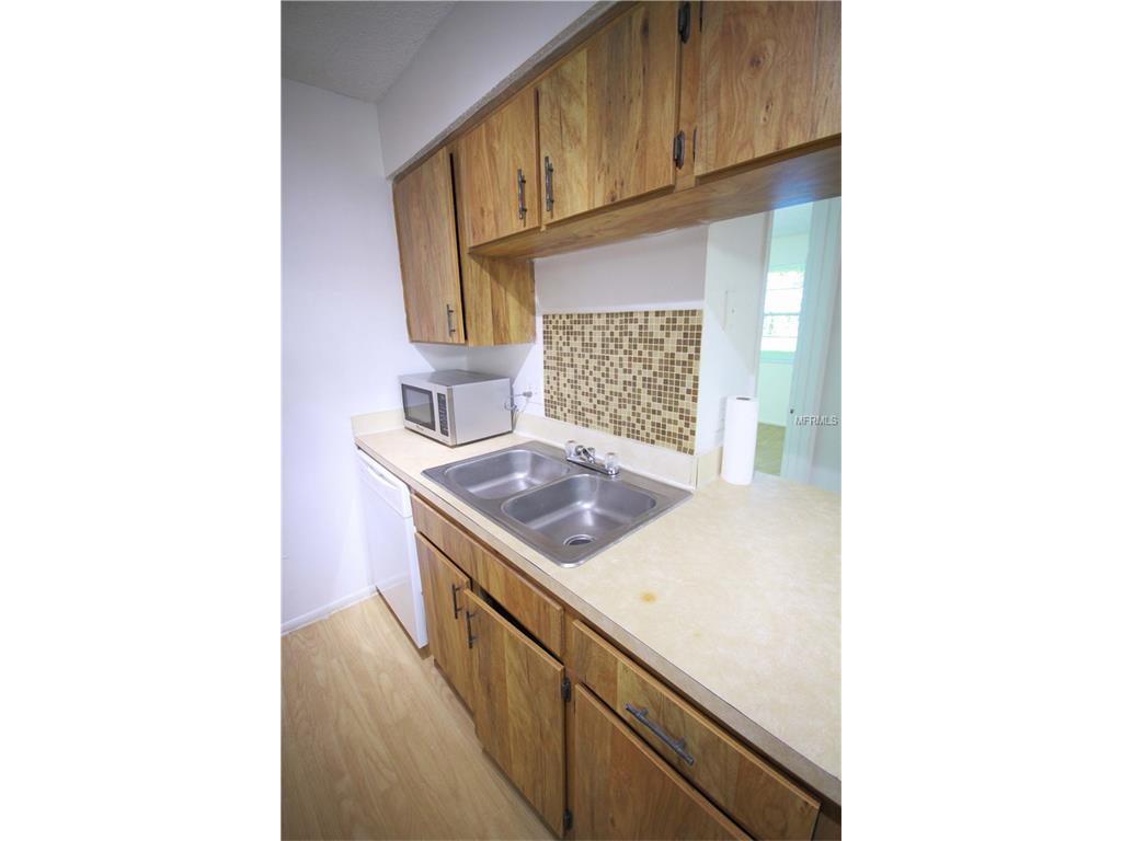 For Sale: 640 Golden Raintree Pl #640 Brandon, FL 33510