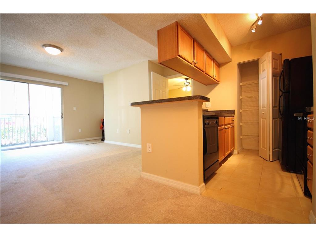 For Sale: 703 Parsons Lake Path #104 Brandon, FL 33511