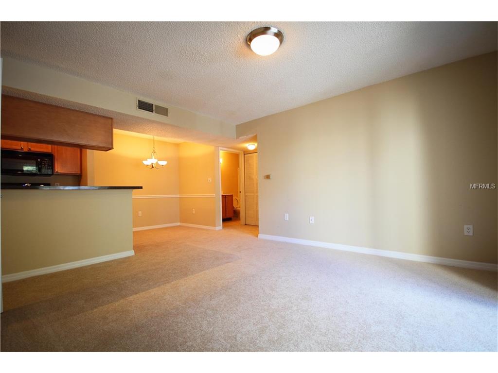 For Sale: 703 Parsons Lake Path #104 Brandon, FL 33511