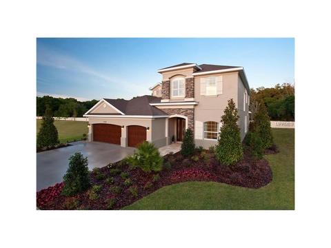 13907 Lake Fishhawk Dr