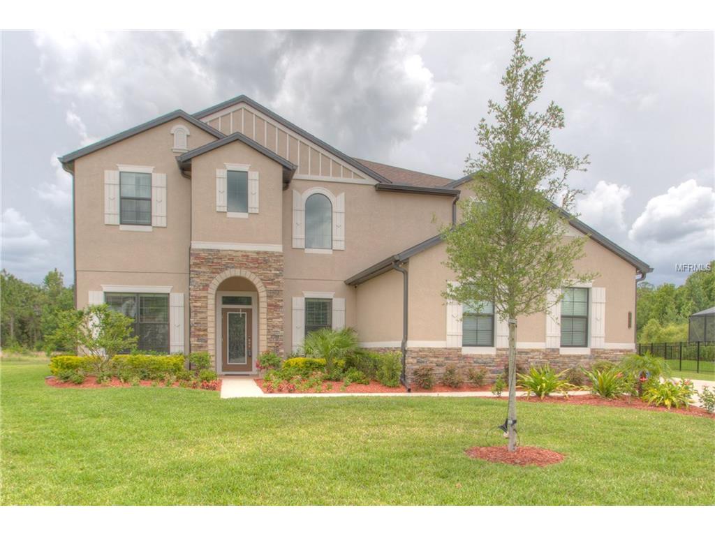 For Sale: 20002 Heron Crossing Dr Tampa, FL 33647