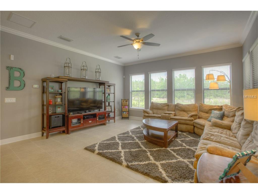 For Sale: 20002 Heron Crossing Dr Tampa, FL 33647