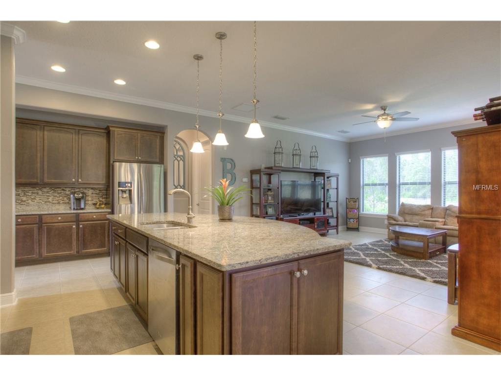 For Sale: 20002 Heron Crossing Dr Tampa, FL 33647