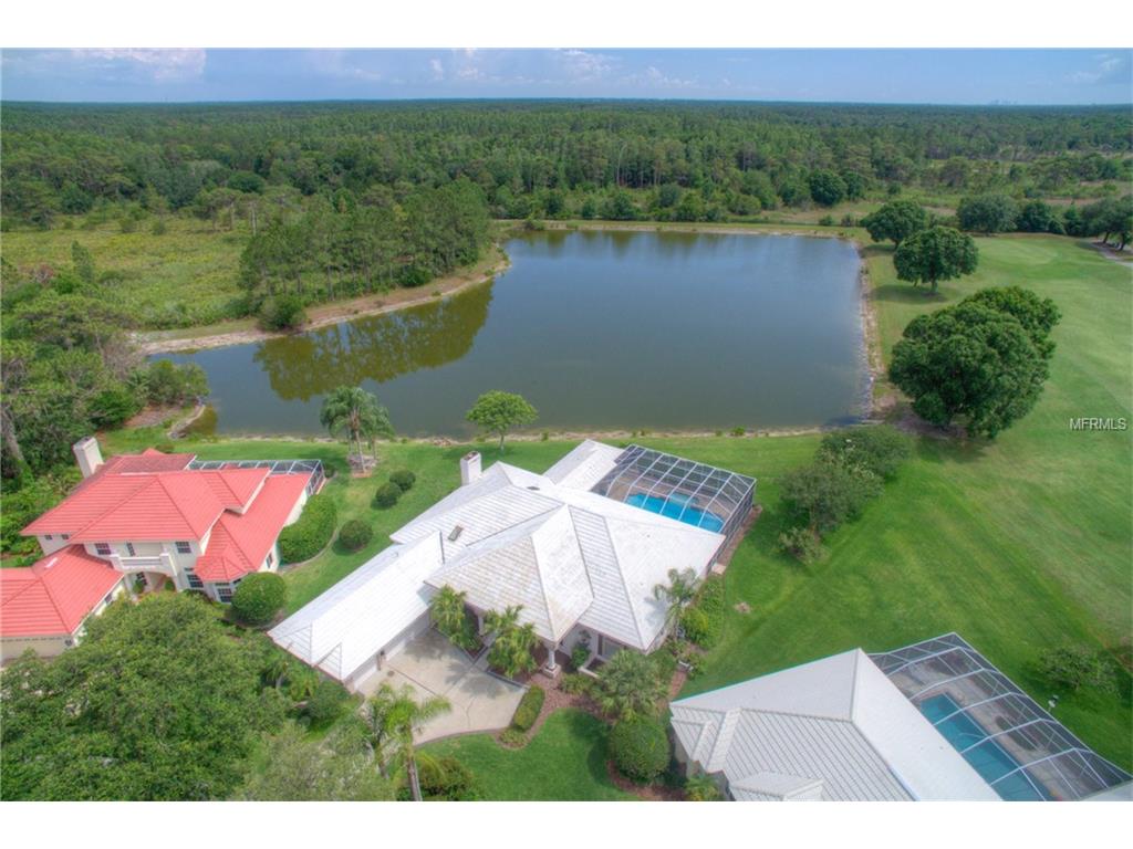 For Sale: 17404 Heather Oaks Pl Tampa, FL 33647