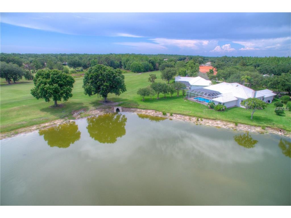 For Sale: 17404 Heather Oaks Pl Tampa, FL 33647