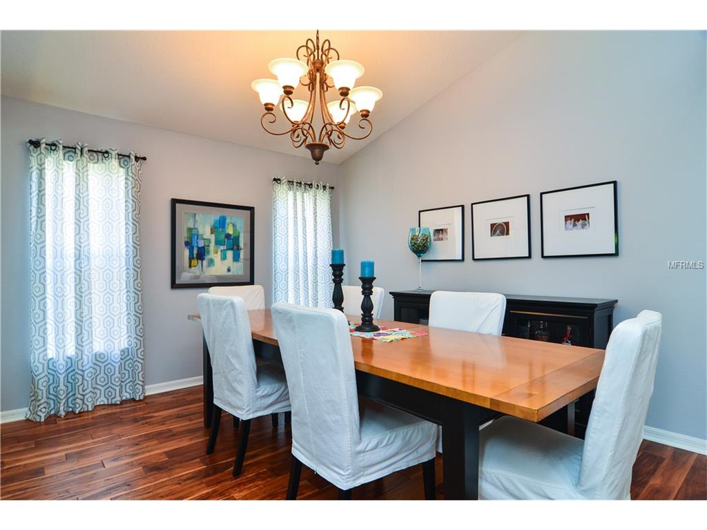 For Sale: 19207 Cinnamon Ridge Way Tampa, FL 33647