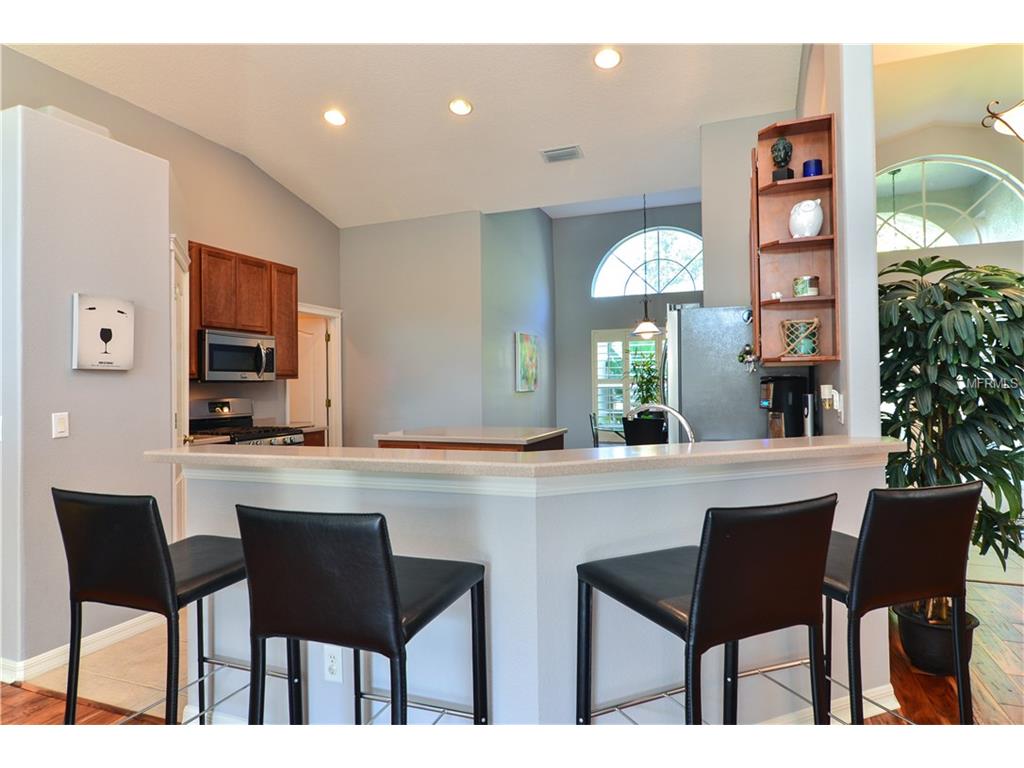 For Sale: 19207 Cinnamon Ridge Way Tampa, FL 33647