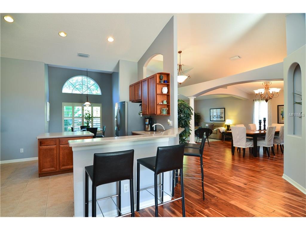 For Sale: 19207 Cinnamon Ridge Way Tampa, FL 33647
