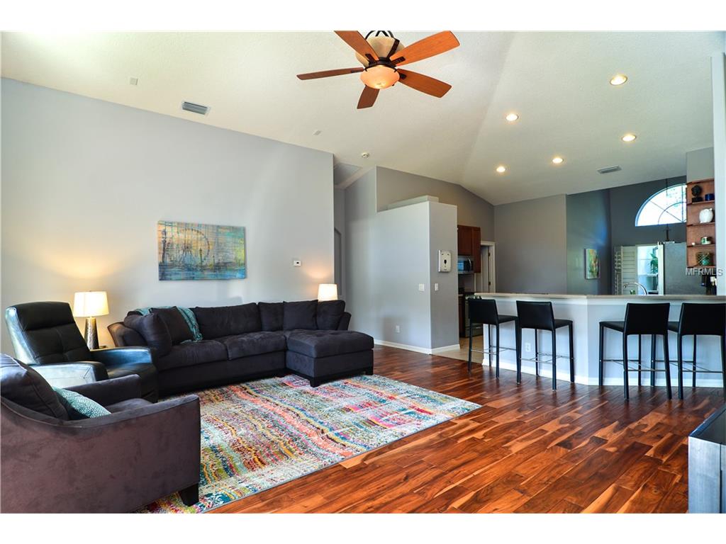 For Sale: 19207 Cinnamon Ridge Way Tampa, FL 33647