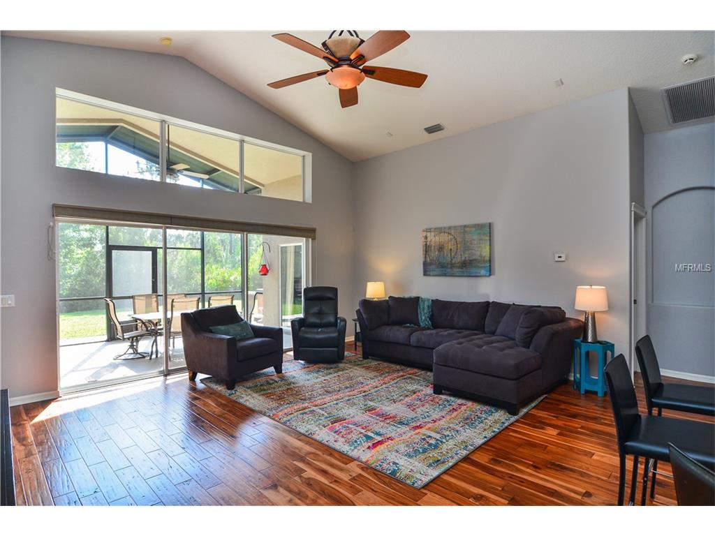For Sale: 19207 Cinnamon Ridge Way Tampa, FL 33647