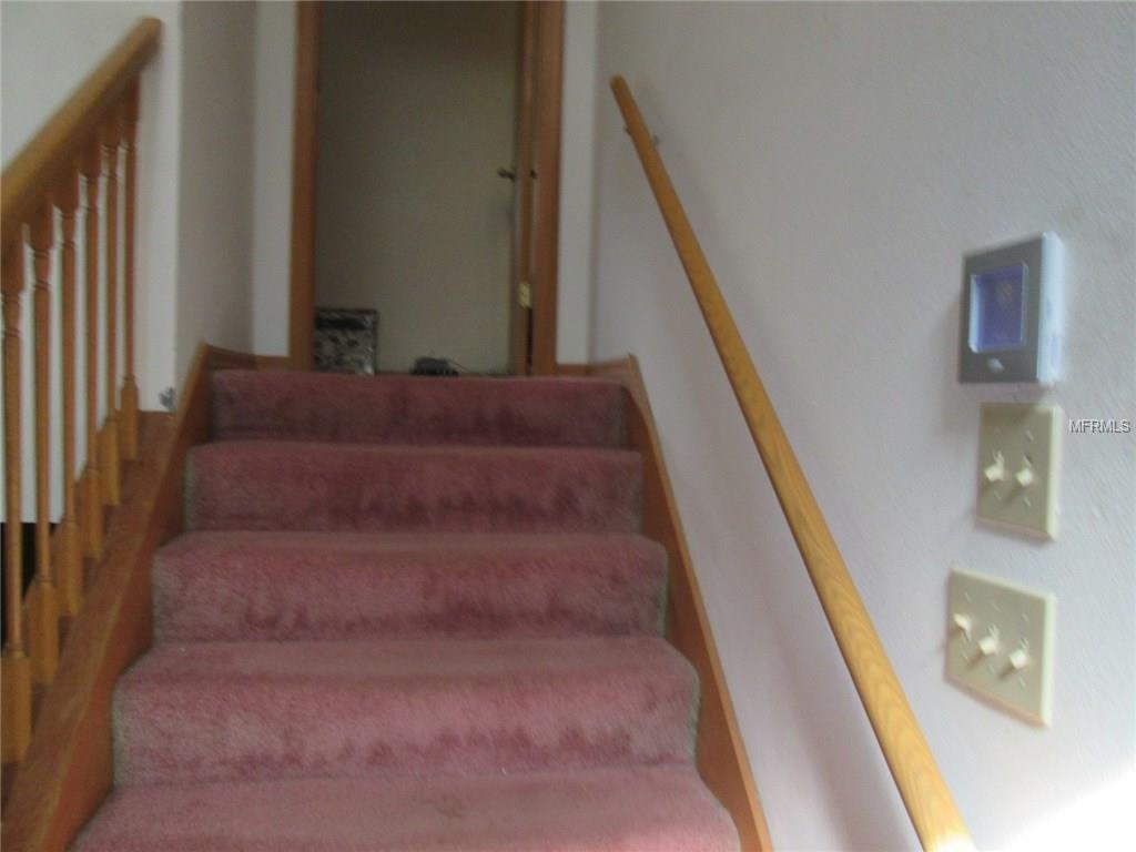 3535 Tiger Creek Trl