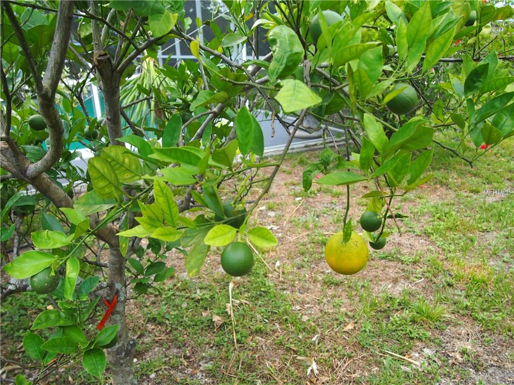 For Sale: 18806 Countryman Ave Port Charlotte, FL 33948