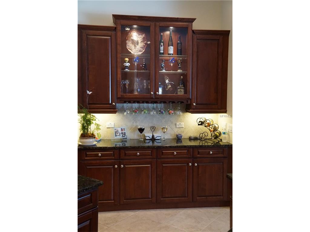 For Sale: 20756 Lake Vienna Dr Land O Lakes, FL 34638