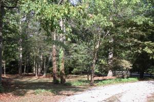 382 Dogwood Rd