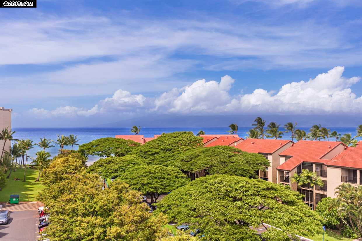 3445 Lower Honoapiilani Rd #734