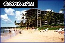 3445 Lower Honoapiilani Rd #332