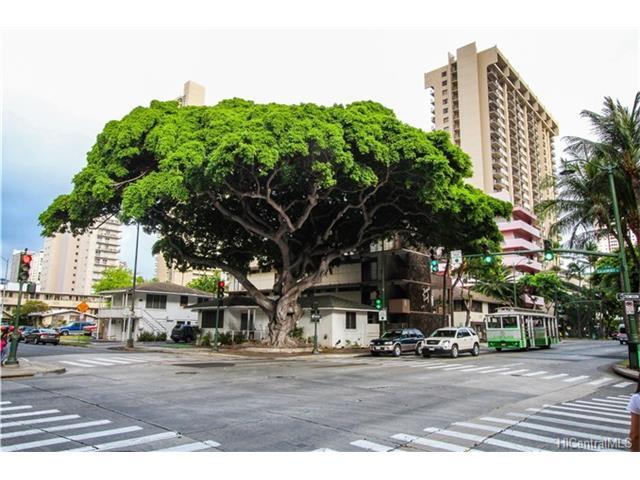 403 Kalaimoku St