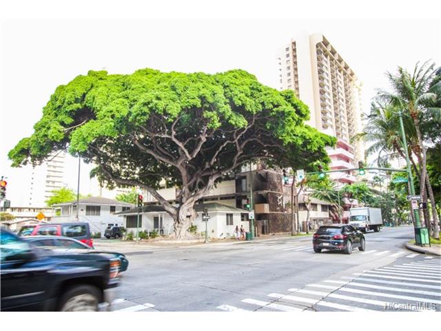 403 Kalaimoku St
