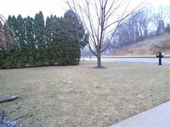 4602 Margaret Ct