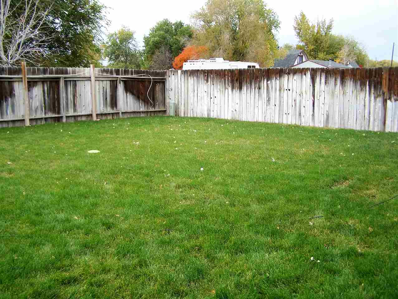 190 Magnolia