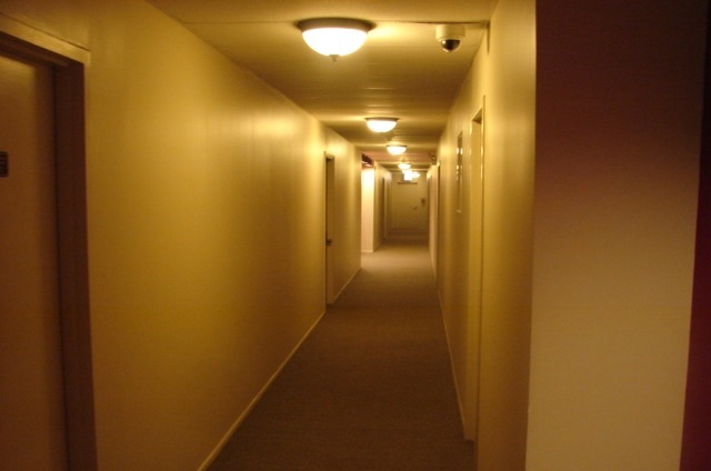 840 Wellington Ave #505