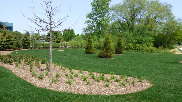 For Sale: 1442 Somerset Pl Barrington, IL 60010