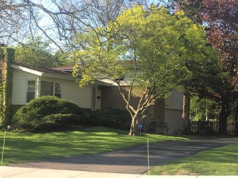 1426 Central Ave