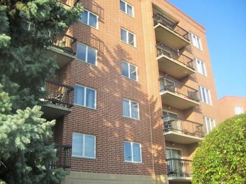 1702 Mill St #202