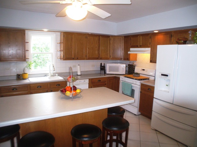 For Sale: 182 Forest Ave Fox Lake, IL 60020