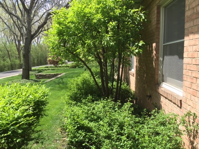 For Sale: 1240 Park Ave #306 Highland Park, IL 60035