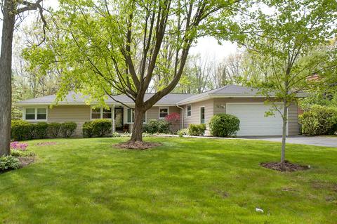 74 Elmwood Ln