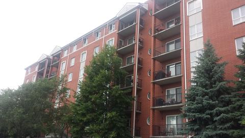 415 Alexia Ct