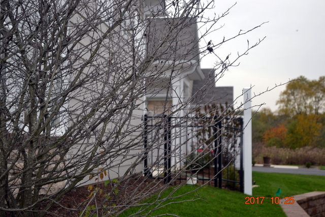 2659 Verdi St
