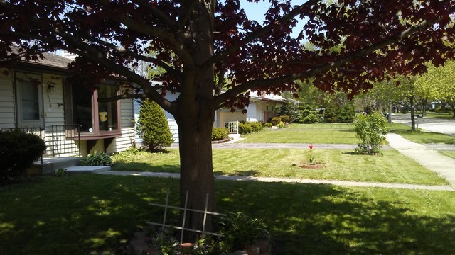 For Sale: 1810 Gilead Ave Zion, IL 60099