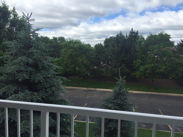 For Sale: 1283 W Lake St #206 Addison, IL 60101