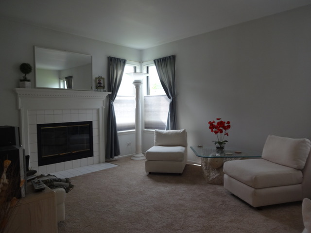 For Sale: 1439 Baron Ct Bartlett, IL 60103