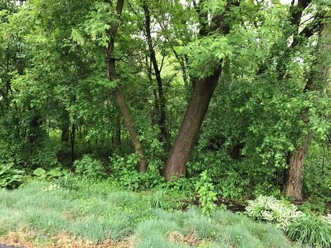 1616 Lois Ct