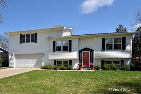 25270 Shannon Ln