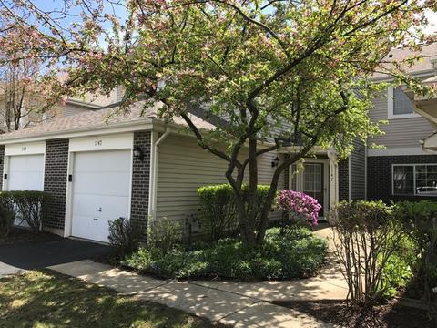 1147 S Cambria Ln